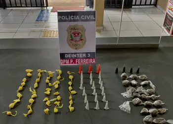 Policia Civil de Porto Ferreira localiza e apreende entorpecentes