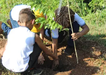 Celebração do Dia da Árvore fortalece compromisso com o meio ambiente em Porto Ferreira