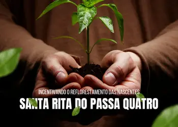 Santa Rita do Passa Quatro incentiva reflorestamento com distribuição gratuita de mudas de árvores para produtores rurais